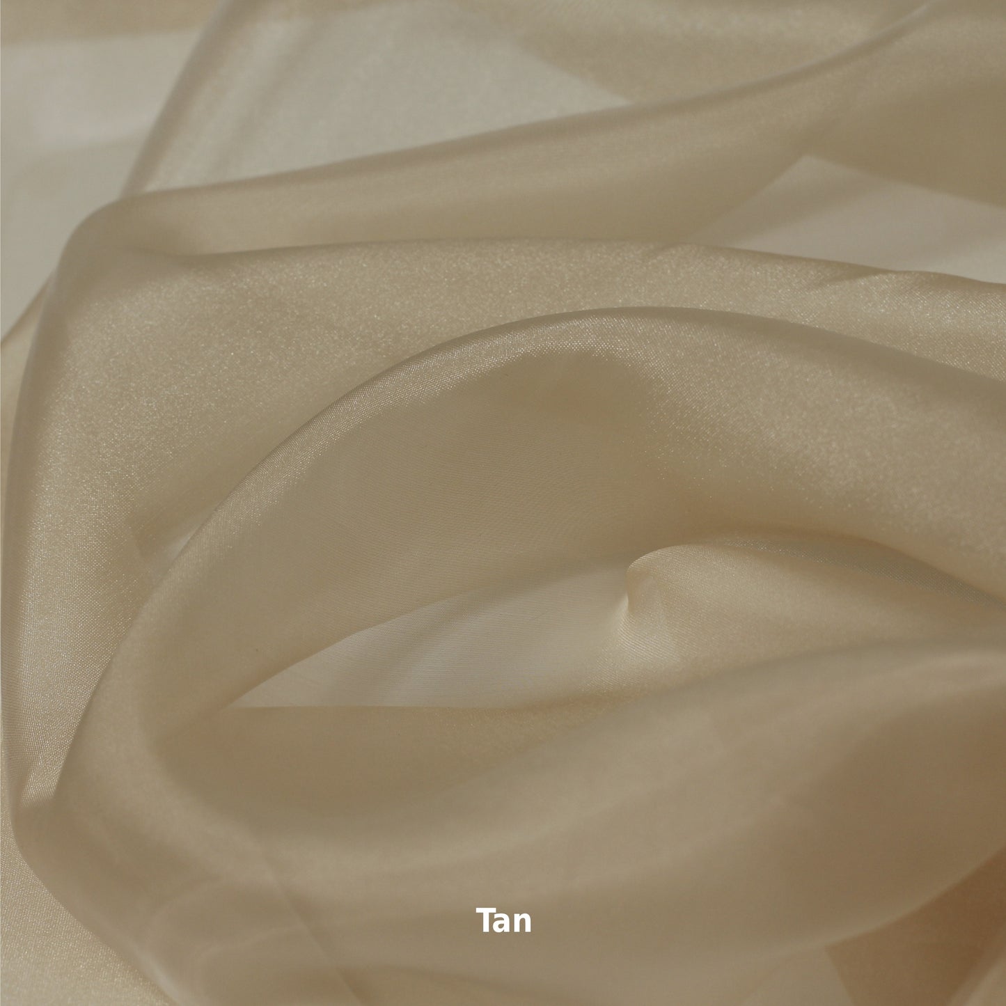 61000 | Organza