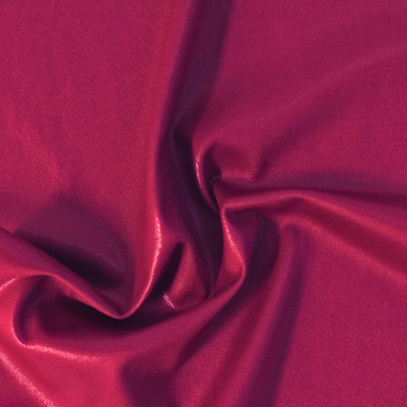 DZ89 | Deep Rose