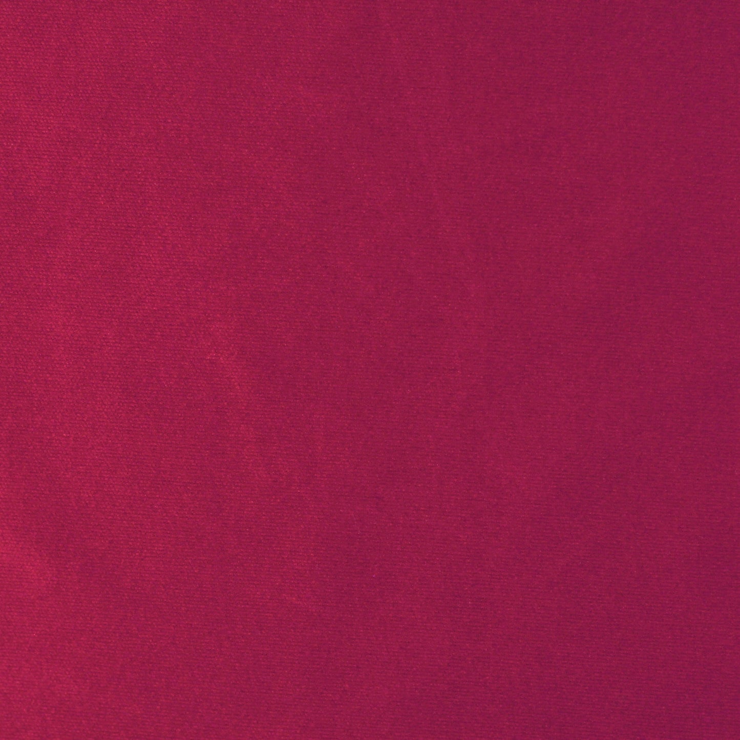 DZ89 | Deep Rose