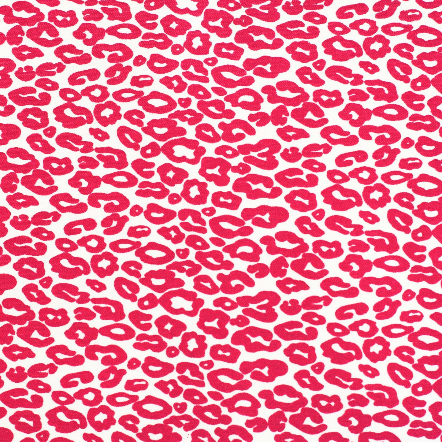 FELINE | Printed Bengaline