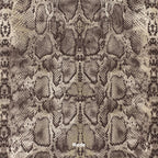 58584/PN2188 | Snake Printed Mesh