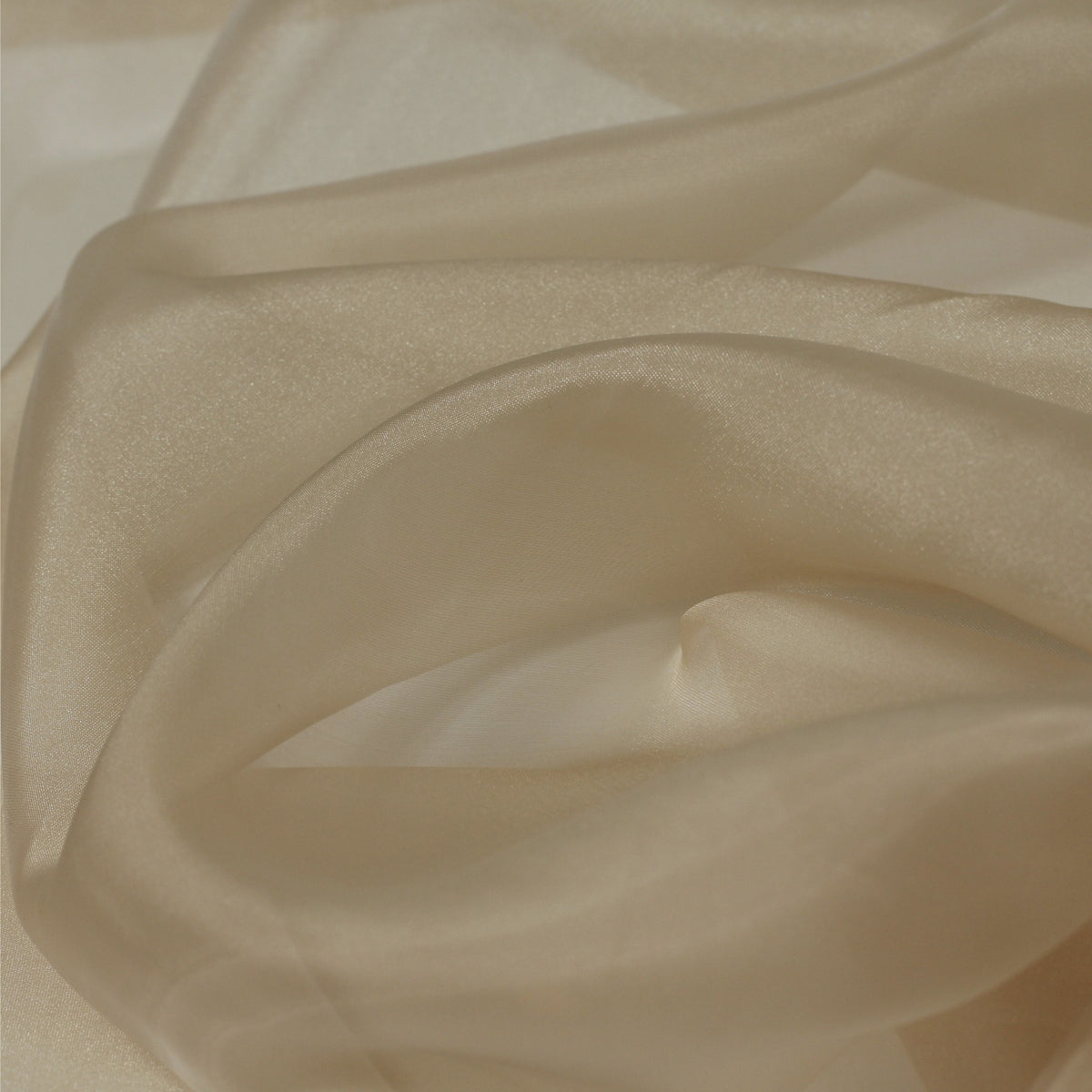61000 | Organza