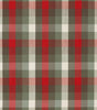 CN16 | Multi-Colored Plaid Shirting