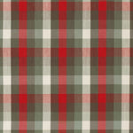 CN16 | Multi-Colored Plaid Shirting