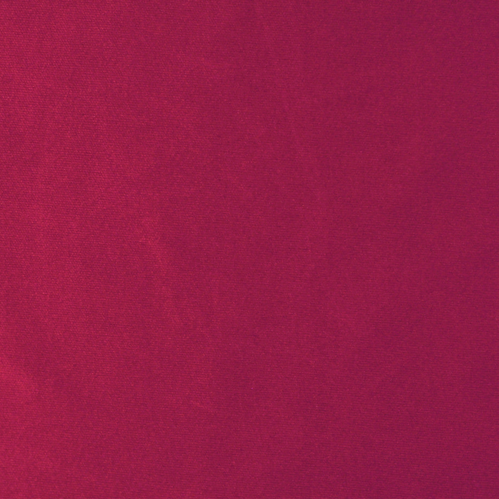 DZ89 | Deep Rose