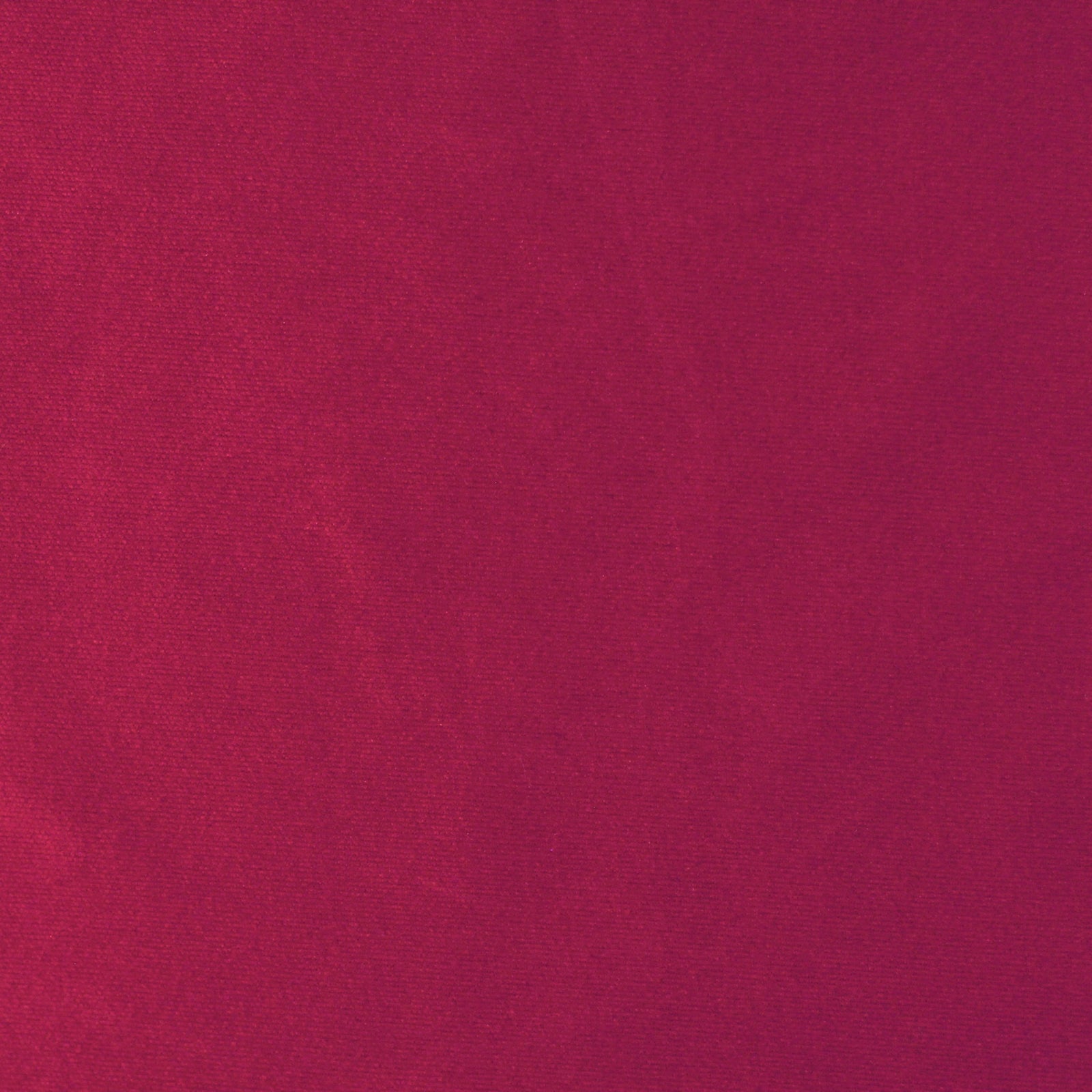 DZ89 | Deep Rose
