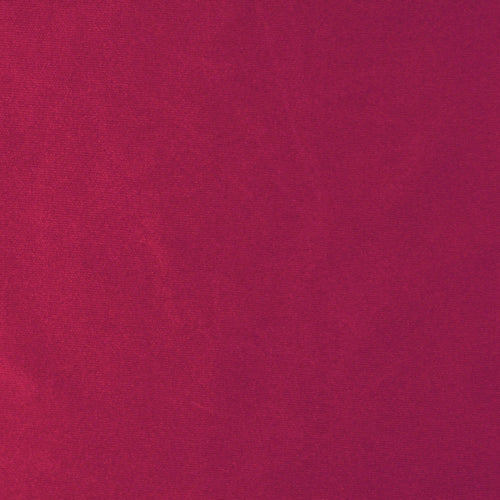 DZ89 | Deep Rose