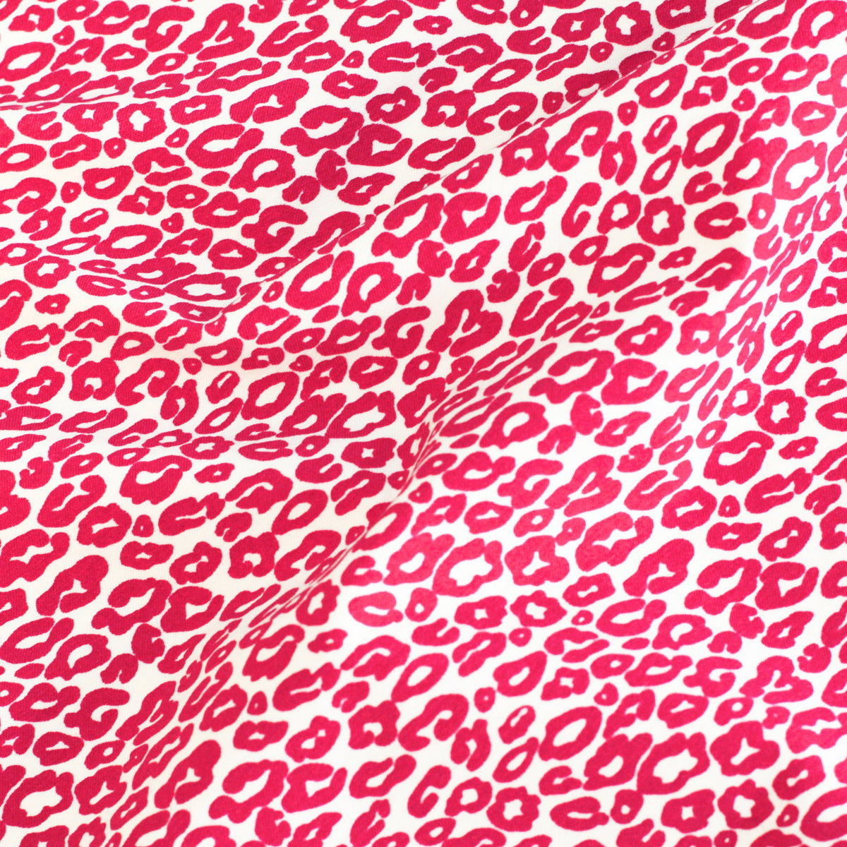 FELINE | Printed Bengaline