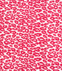 FELINE | Printed Bengaline