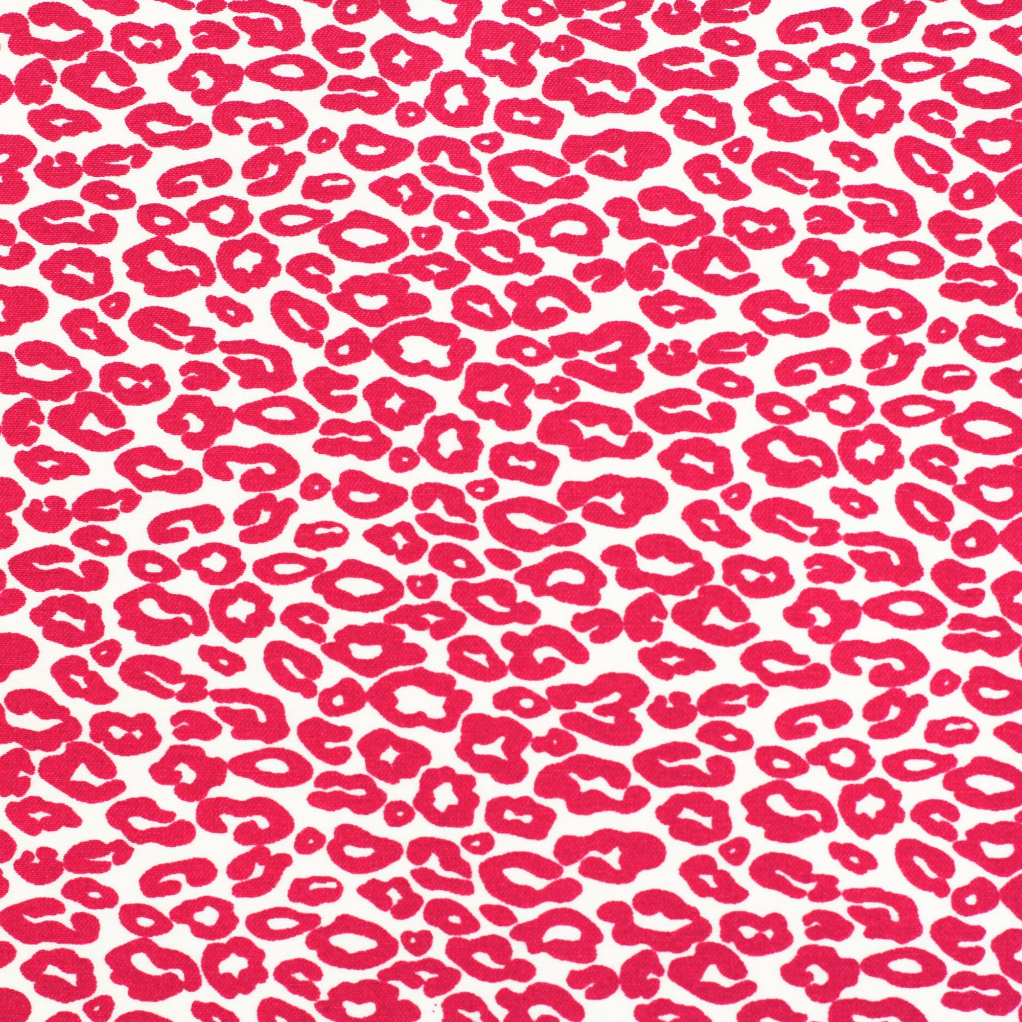 FELINE | Printed Bengaline