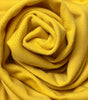 HORIZON | Organic Cotton French Terry
