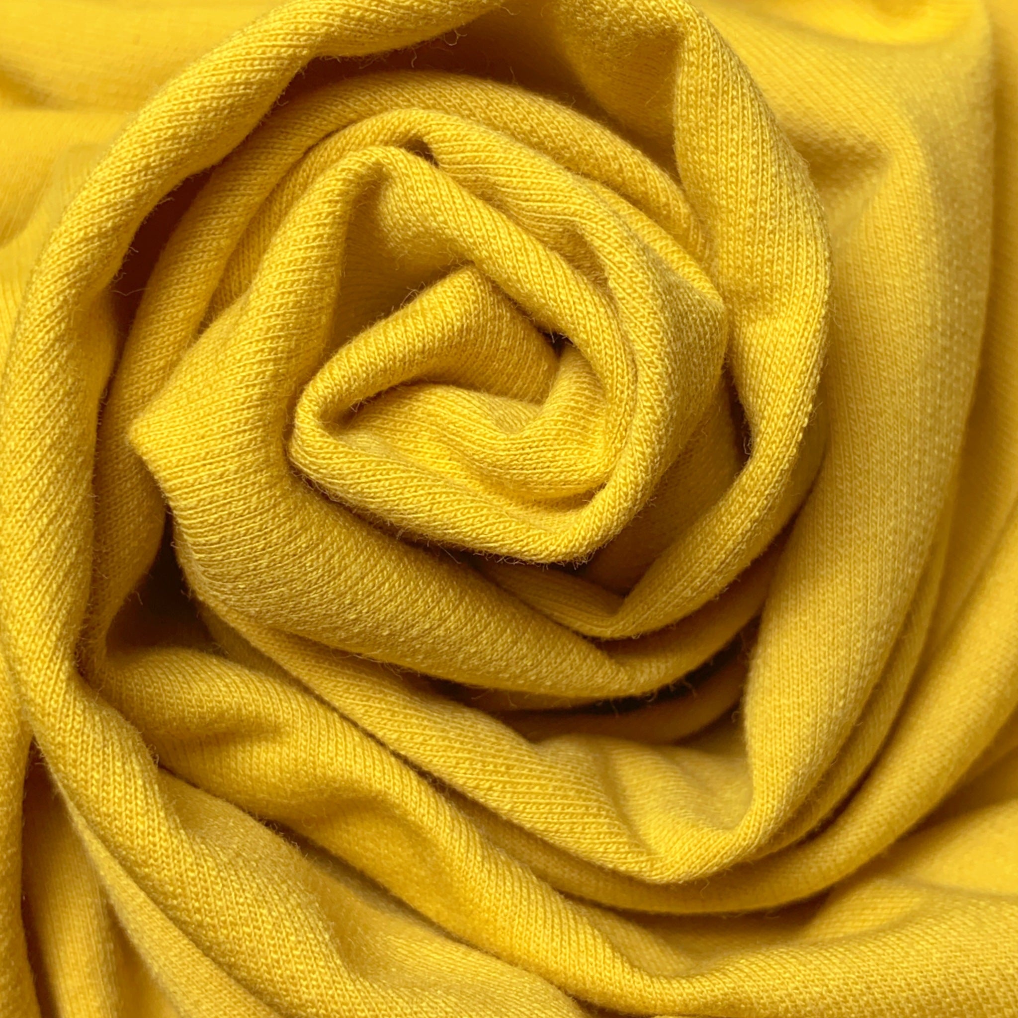 HORIZON | Organic Cotton French Terry