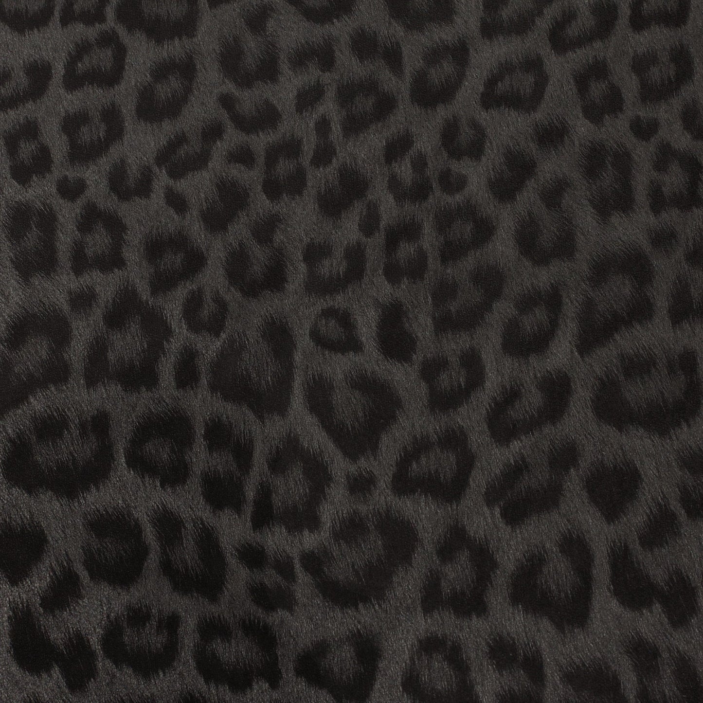 LEONA LEOPARD | Leopard Foil