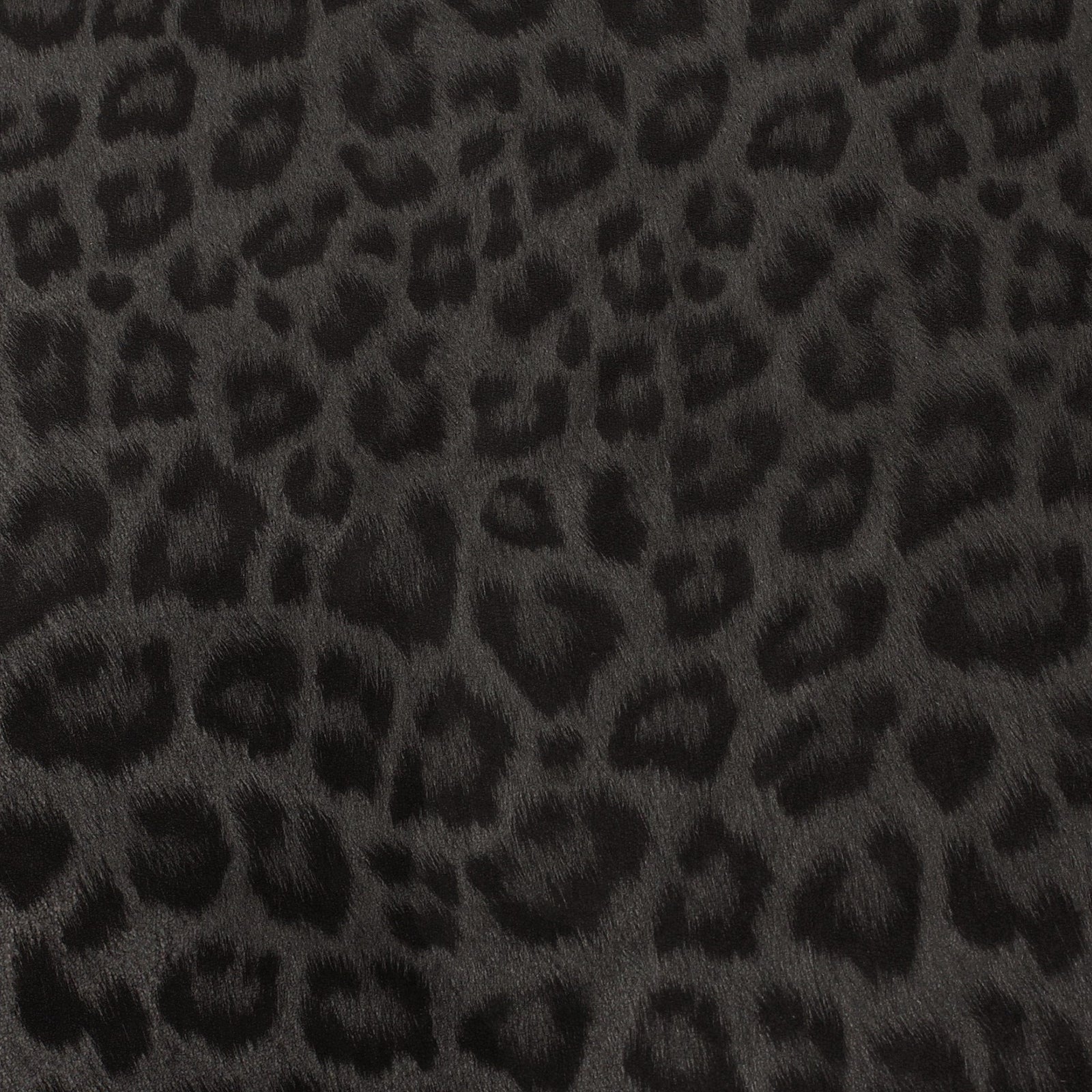 LEONA LEOPARD | Leopard Foil