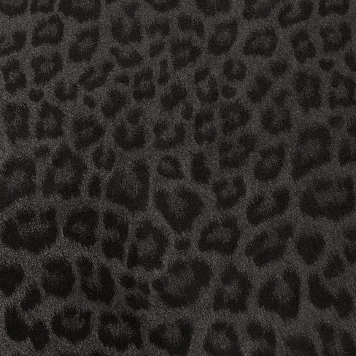 LEONA LEOPARD | Leopard Foil
