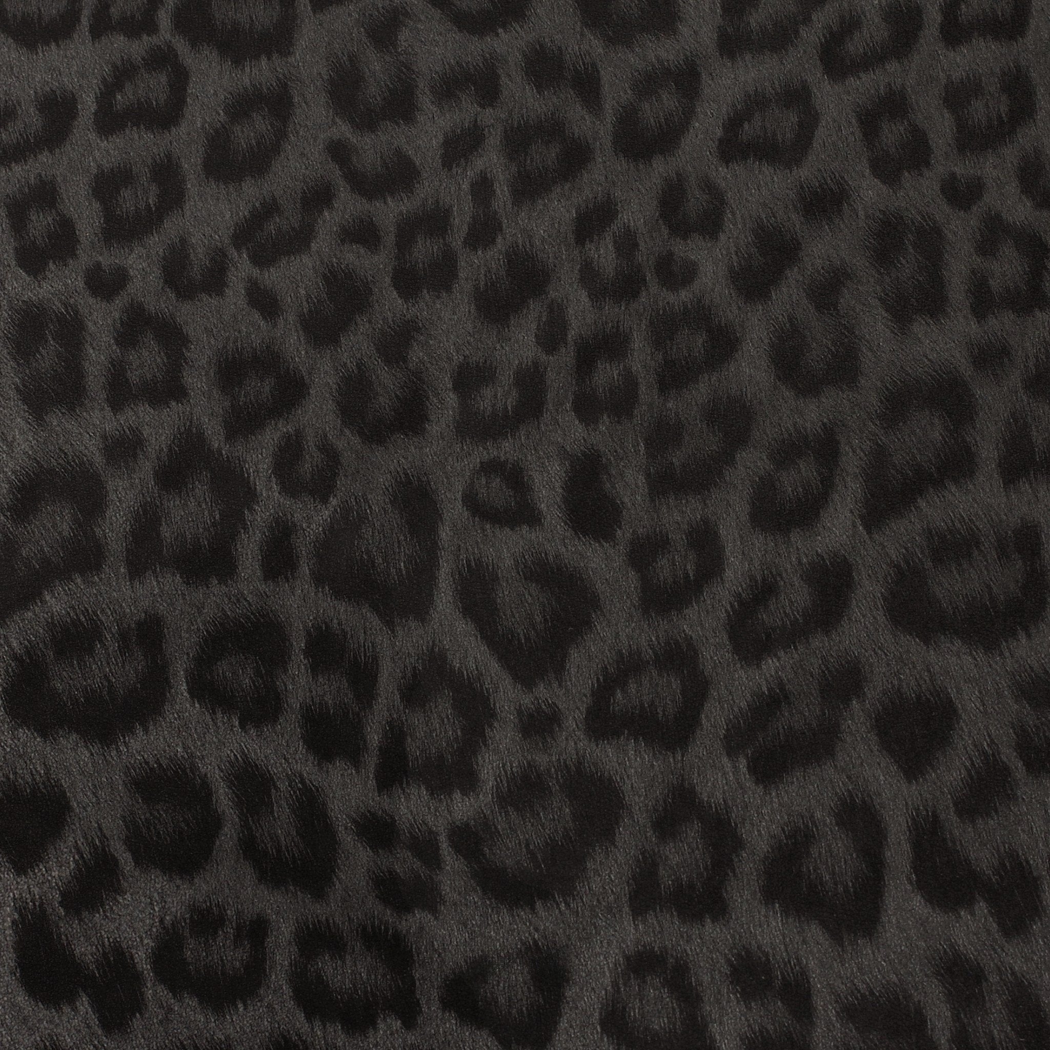 LEONA LEOPARD | Leopard Foil