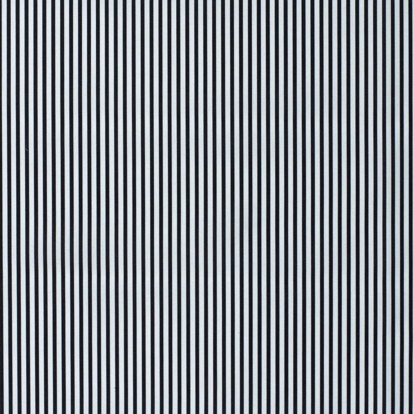 NEWYORK9 | Striped Lining