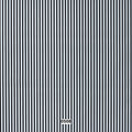 NEWYORK9 | Striped Lining