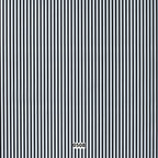 NEWYORK9 | Striped Lining