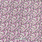PAPER PRINTS | In Stock Sublimation Paper
