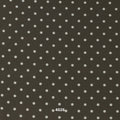 POLKA31 | Polka Dot Lining