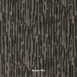 WALSH PRINT | Irregular Printed Stripe