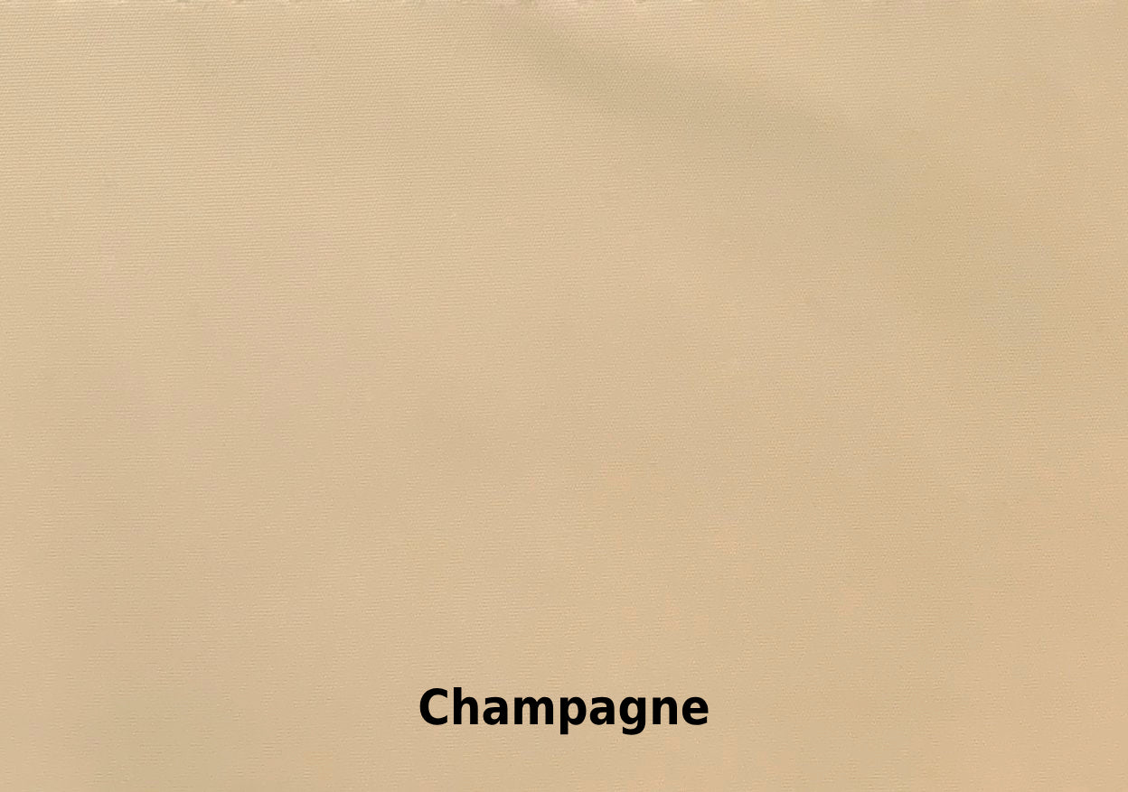 ZENI | Memory Taffeta